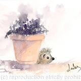 201 HETTi hoglet AVAILABLE 