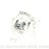 No 207 Hedgehog AVAILABLE 