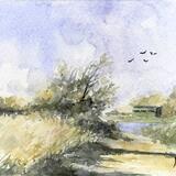 Far ings Nature Reserve AVAILABLE 