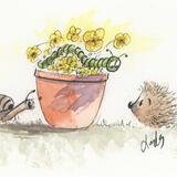 240 Cute Characters AVAILABLE  