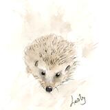 244 Hedgehog DONATED  