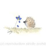 244  HARRi hoglet Forget me not is SOLD 