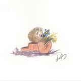 250 HETTi Hoglet AVAILABLE 