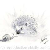 264 Hedgehog AVAILABLE 