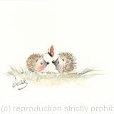 265 HETTi and HARRi SOLD 