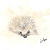 No 287 Hedgehog AVAILABLE 