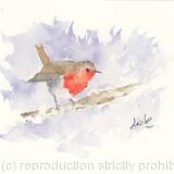 N 7 Robin Watercolour AVAILABLE 