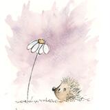 343  HETTi and daisy AVAILABLE  