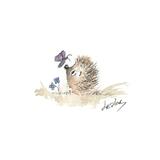 No 293 HETTi hoglet SOLD  