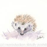295 Toby the Hedgehog AVAILABLE 