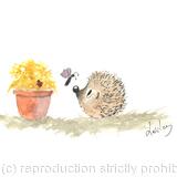 298 HETTi hoglet AVAILABLE 