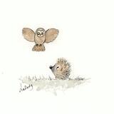 304 OLLi and HETTi AVAILABLE 