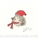 307 HETTi dressed for Winter AVAILABLE 