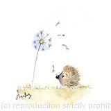 324 HETTi hoglet AVAILABLE 