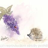 326 HETTi and Buddleia SOLD 