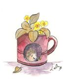 328 HETTi hoglet AVAILABLE 