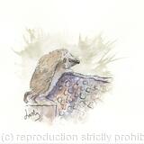 330 the inquisitive Hedgehog  SOLD 