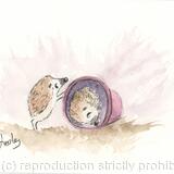 345 Mischievous hoglet AVAILABLE 