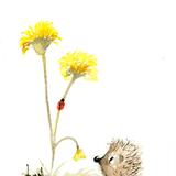 358 HETTi and the Dandelion AVAILABLE  