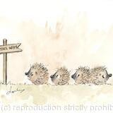 364 There's always one  SOLD 