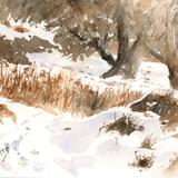 Snow at Atkinsons Warren AVAILABLE 