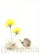 340  HETTi hoglet AVAILABLE 