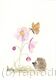 338 HETTi and the Anemone AVAILABLE 