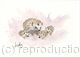 339 Hedgehogs SOLD  