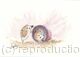345 Mischievous hoglet AVAILABLE 