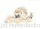 353 Hoglet  AVAILABLE 