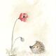 336 HETTi and Poppy…
