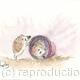 345 Mischievous hoglet…