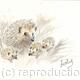 360 Hedgehog Family AVAILABLE 