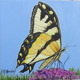 Chasing Tiger Swallowtail