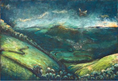 Kestrel over Christow