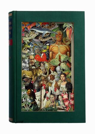 Herders Standard Lexikon 2, 1961