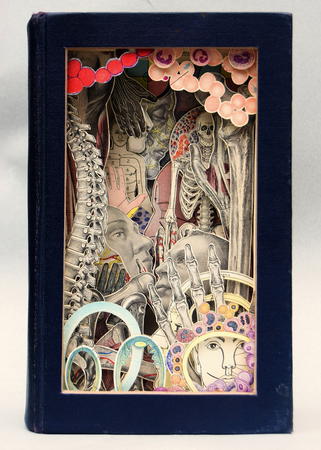 Gray's Anatomy, 1949