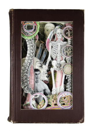 Cunningham's Anatomy, 1948