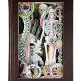 Cunningham's Anatomy, 1948