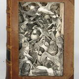 The Illustrated Natural History 3, 1867