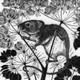 HARVEST MOUSE 60mmx60mm Rosamund Fowler