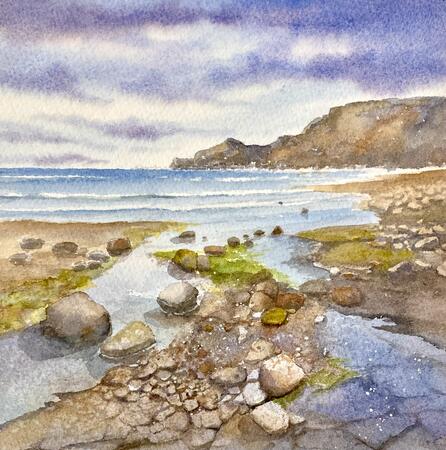 Rock Pools, Runswick Bay