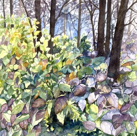 Beautifully Overgrown 