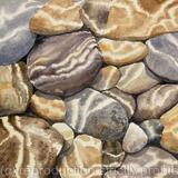 Rocks and Ripples 