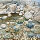 Rock Pool
