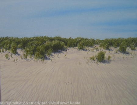 Sand Dunes, Haven Point, Dorset
