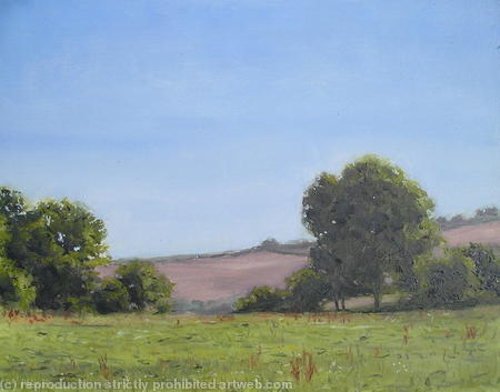 Rosenun Field Summer