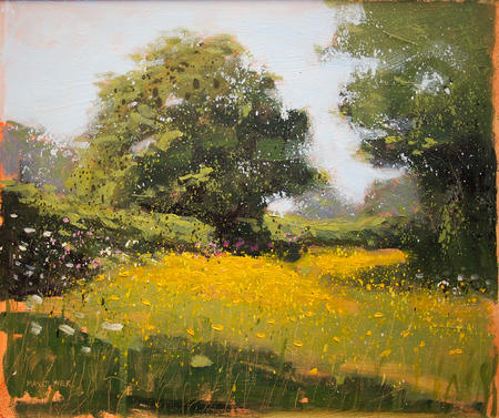 Somerset Buttercups