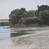 Redend Point, Dorset