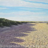 Sand Dunes, Shell Bay